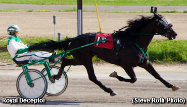 Royal Deceptor Smashes Buffalo Record