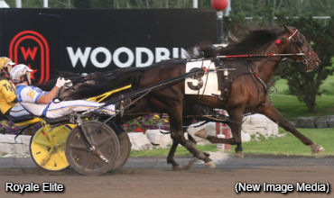 Rookie Trotters Rumble At Mohawk Park Rookie Trotters Rumble At Mohawk Park