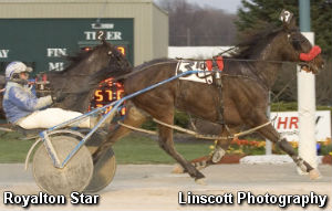 Hoosier Invite To Royalton Star 