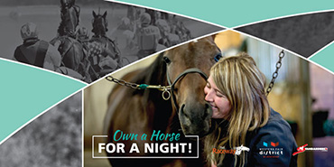 Own A Racehorse For A Night!