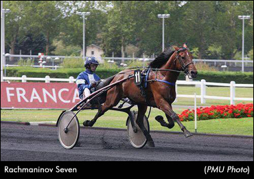 First French Trotter To Stand In Ireland