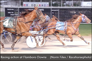 Flamboro Downs To Pause Racing