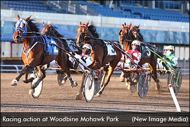 Two-Year-Olds Tussle At Mohawk