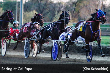 Cal Expo Suspends Racing