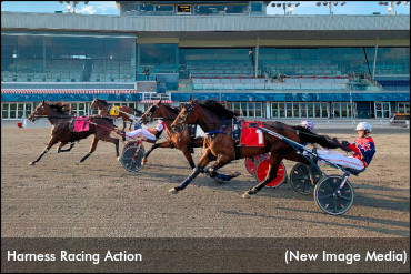 SC Makes It Easy As 1-2-3 To Reach Your MPP