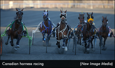Show & Tell, Harness Racing Style!
