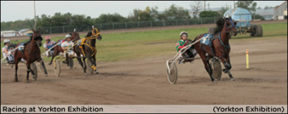 A Driving Double For Brad LeDrew