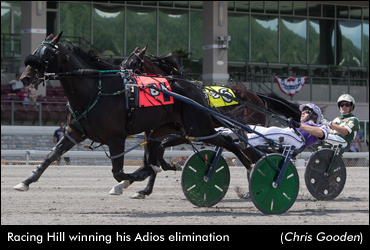 Adios Post Positions Drawn