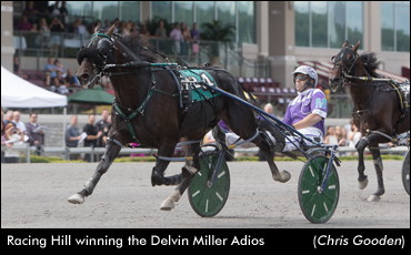 Racing Hill Dazzles In Adios