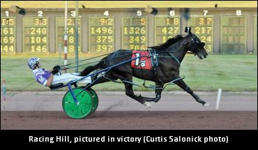 Racing Hill A Dark Horse No More