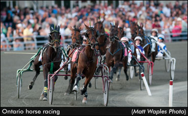 OMAFRA Interim Report Released; OHRIA Issues Response