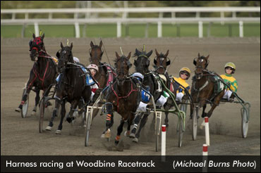 Woodbine Rolls Out Upgrades