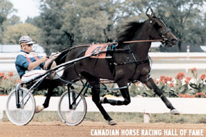 Champion Pacer Ralph Hanover Euthanized