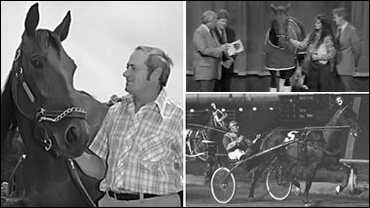 The Horse That God Loved