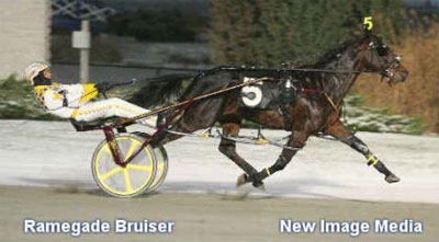 'Bruiser' Nominated To Molson Pace