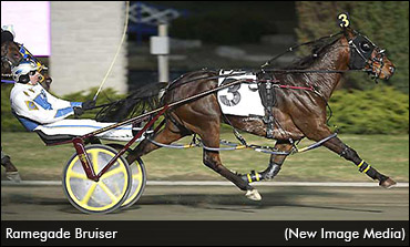 Ramegade Bruiser Retired