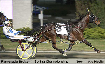 Ramegade Bruiser Qualifies At KD