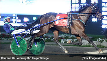 Ramona Hill Roars In Elegantimage