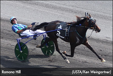 Ramona Hill Leads Maturity Dozen