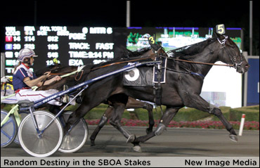 Random Destiny Leads Fillies To Final Gold Showdown