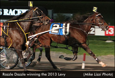 TVG FFA Series Next For Razzle Dazzle