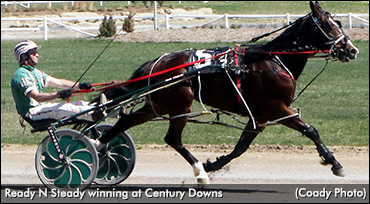 Ready N Steady Upsets In Kennedy