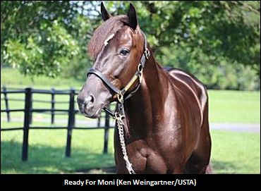 Antonacci Discusses Ready For Moni