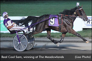 Real Cool Sam Done For 2020