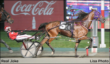 Test Results From Lou Pena Stable