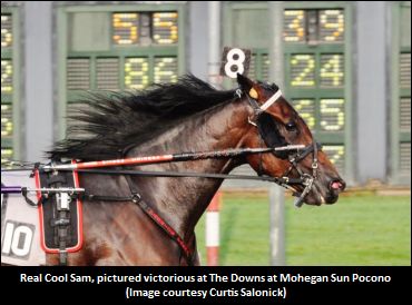 ‘Sam’ Looking To Extend Streak