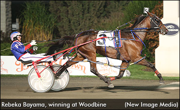 Rebeka Bayama On Comeback Trail