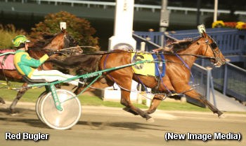 Stunning Mile For Red Bugler