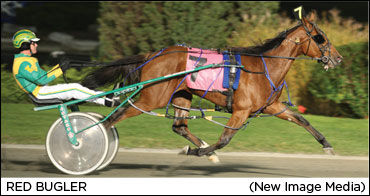 The Bugler Makes Noise