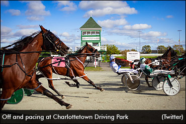 Wagering Up At Red Shores