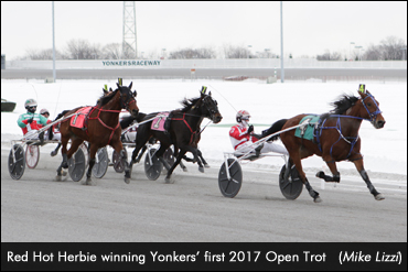 Red Hot Herbie Wins Yonkers Open