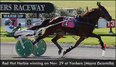 Red Hot Herbie Upsets In Open Trot