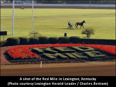Red Mile Instant Racing Approved