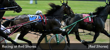 $2 Million Upgrade For CDP Horsemen