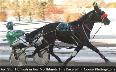 'Bachelor' Wins Derby Prep; Filly Field Set