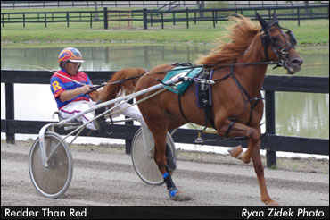 Nine Track Record Performances 