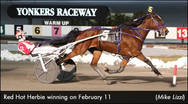Open Winners In Yonkers Spotlight