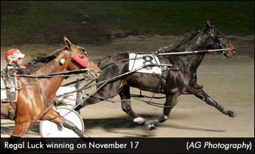 Regal Luck Delivers At Western Fair