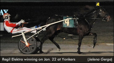 Regil Elektra Defeats Distaffers