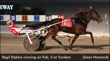 Regil Elektra Wins Mares Open