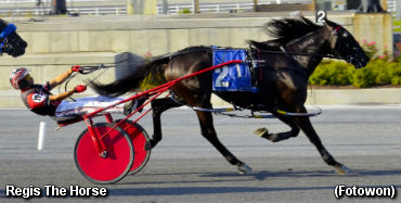 Repeat For Regis The Horse