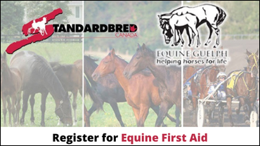 Registration Open For Equine First Aid