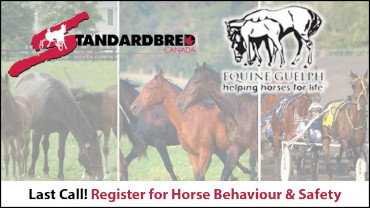 Last Call To Register For Horse Behaviour & Safety Last Call To Register For Horse Behaviour & Safety