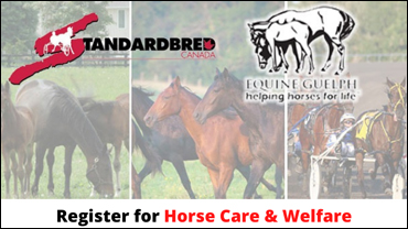 Horse Care & Welfare Course Kicks Off Fall Equine Guelph Schedule