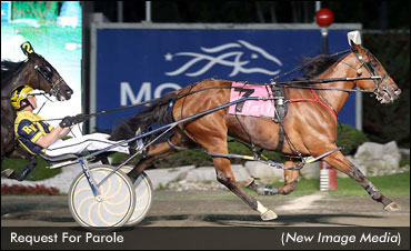 Town Pro Series Continues Town Pro Series Continues