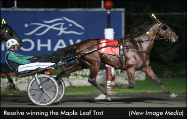 International Trot Set For Saturday